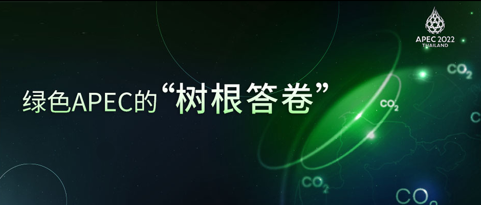 綠色領航，中國擔當！樹根互聯亮相APEC峰會